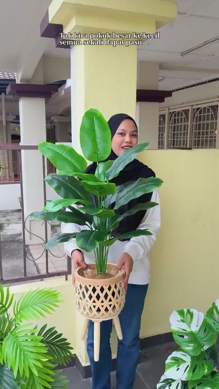 Flower Decor
